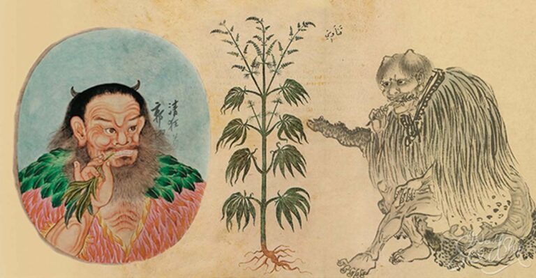 Origen de la historia del té